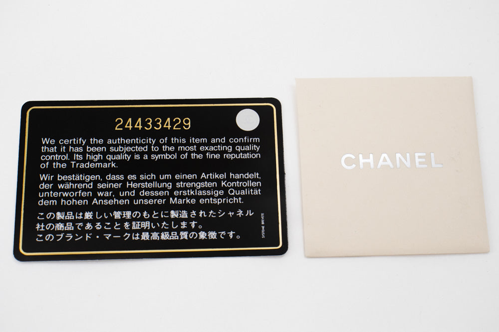 CHANEL Lambskin Pearl Wallet On Chain WOC Double Zip Chain Bag L17